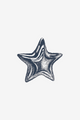 Morska zvijezda 