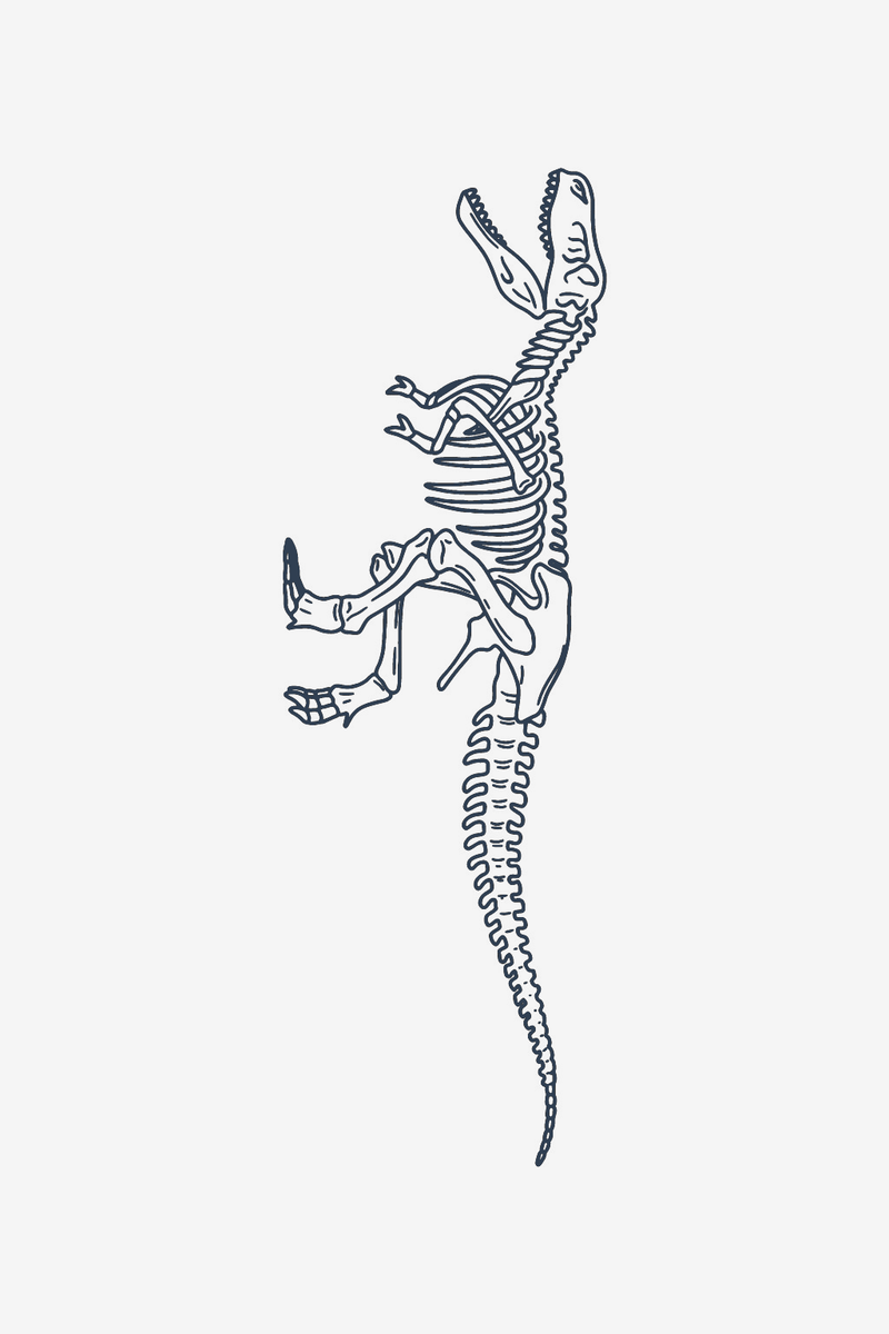 T-Rex kostur