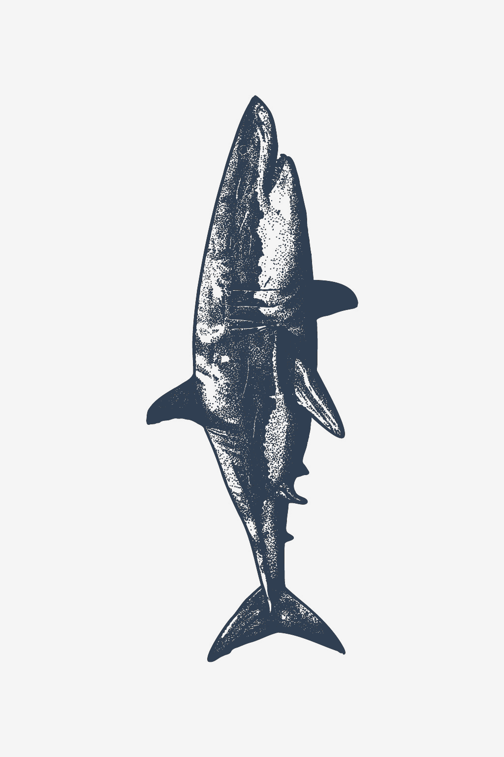 Predator