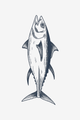 Divlja tuna