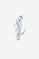 Astralne latice